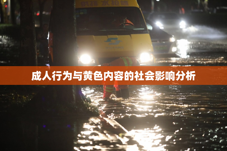 成人行为与黄色内容的社会影响分析