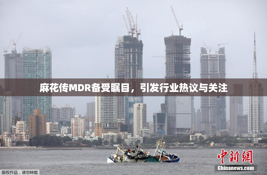 麻花传MDR备受瞩目，引发行业热议与关注