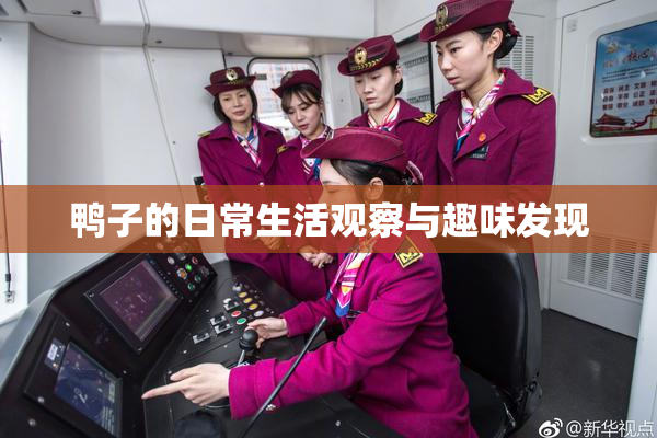 鸭子的日常生活观察与趣味发现