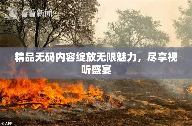精品无码内容绽放无限魅力，尽享视听盛宴