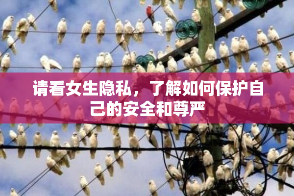 请看女生隐私，了解如何保护自己的安全和尊严