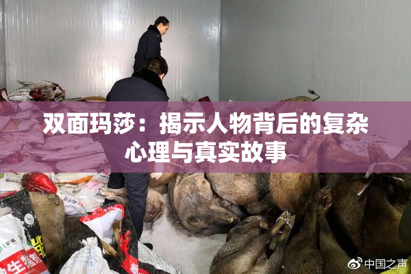 双面玛莎：揭示人物背后的复杂心理与真实故事