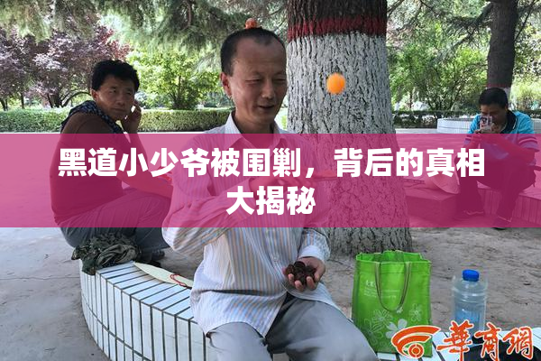 黑道小少爷被围剿，背后的真相大揭秘