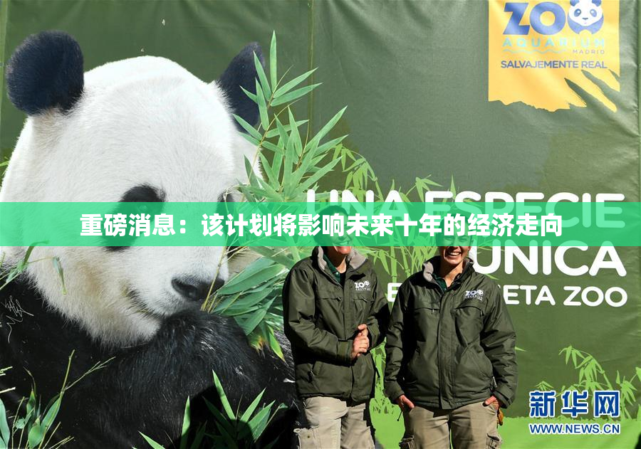 重磅消息：该计划将影响未来十年的经济走向