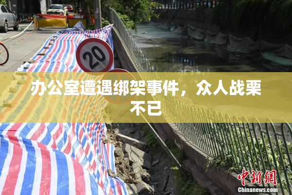 办公室遭遇绑架事件，众人战栗不已