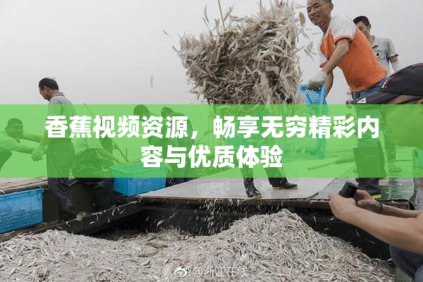 香蕉视频资源，畅享无穷精彩内容与优质体验