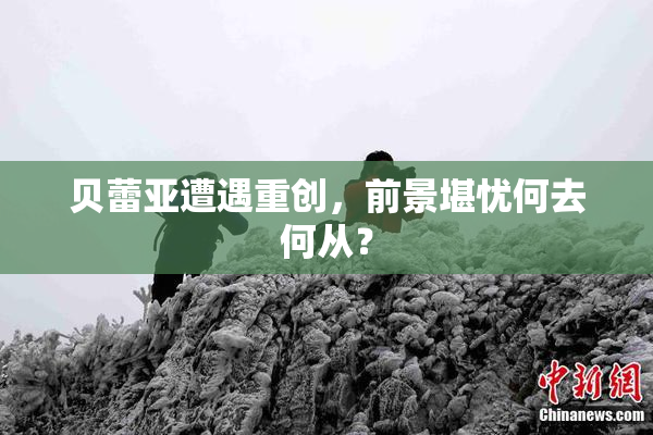 贝蕾亚遭遇重创，前景堪忧何去何从？