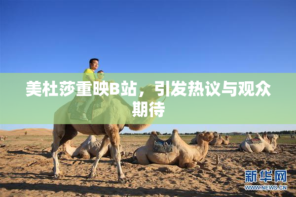 美杜莎重映B站，引发热议与观众期待