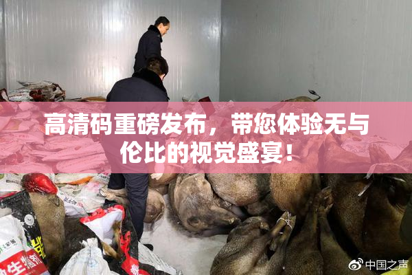 高清码重磅发布，带您体验无与伦比的视觉盛宴！