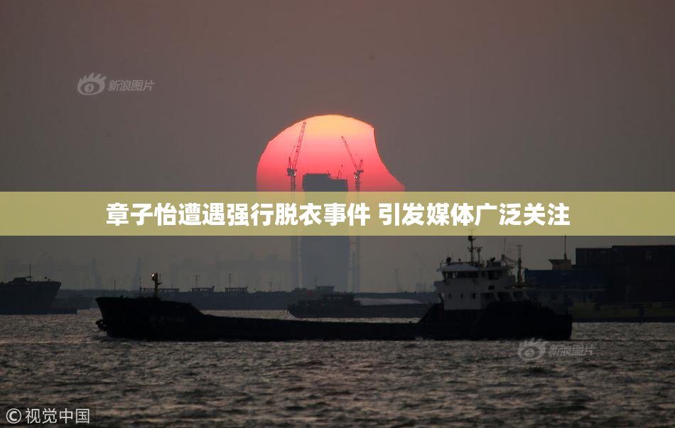 章子怡遭遇强行脱衣事件 引发媒体广泛关注