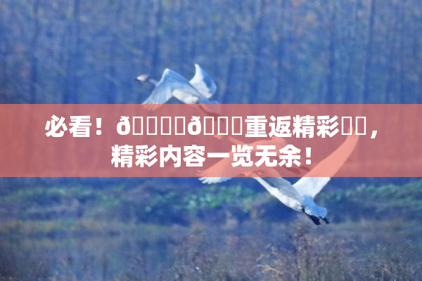 必看！🔞‌🍌重返精彩❌‌，精彩内容一览无余！