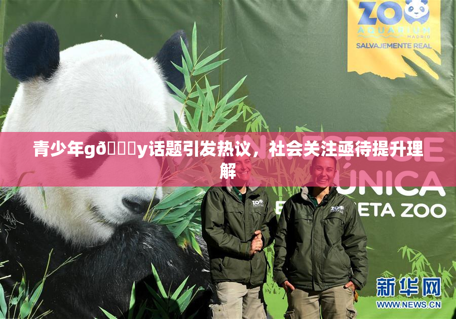 青少年g🈚y话题引发热议，社会关注亟待提升理解