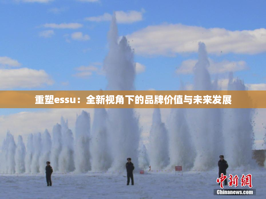 重塑essu：全新视角下的品牌价值与未来发展