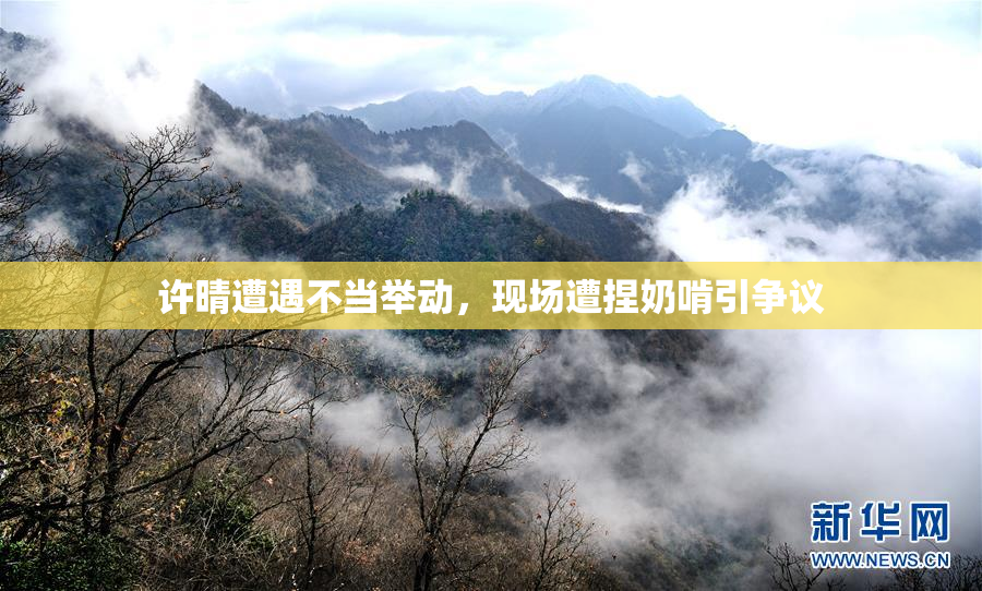 许晴遭遇不当举动，现场遭捏奶啃引争议