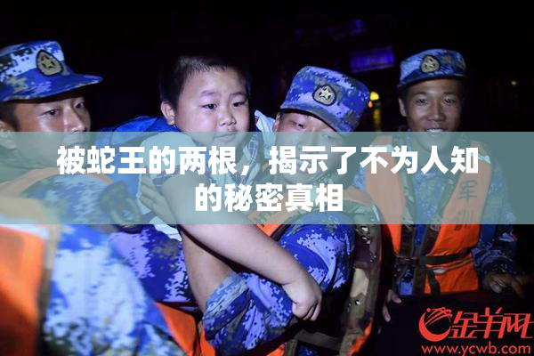 被蛇王的两根，揭示了不为人知的秘密真相