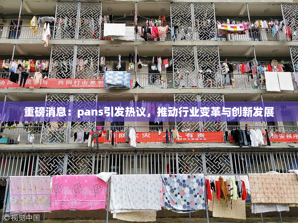 重磅消息：pans引发热议，推动行业变革与创新发展