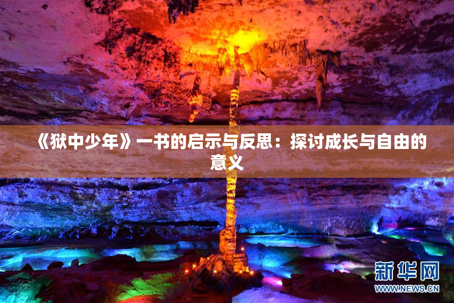 《狱中少年》一书的启示与反思：探讨成长与自由的意义
