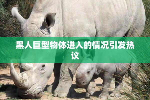 黑人巨型物体进入的情况引发热议