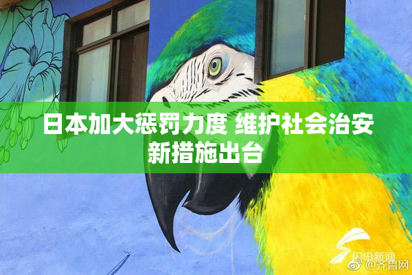 日本加大惩罚力度 维护社会治安新措施出台