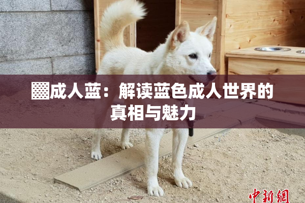 ▓成人蓝：解读蓝色成人世界的真相与魅力