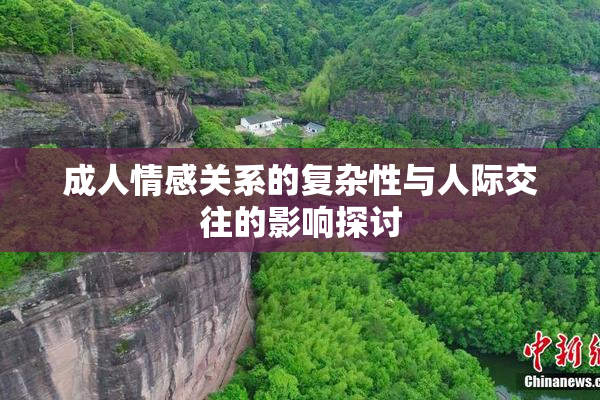 成人情感关系的复杂性与人际交往的影响探讨
