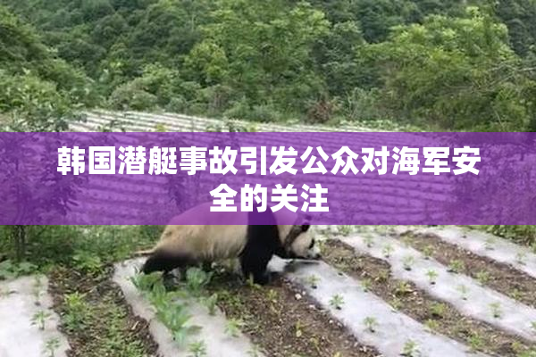 韩国潜艇事故引发公众对海军安全的关注