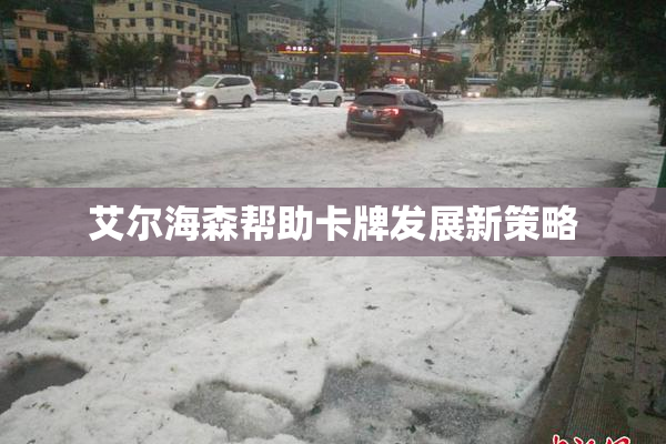 艾尔海森帮助卡牌发展新策略
