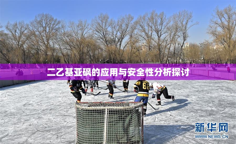 二乙基亚砜的应用与安全性分析探讨