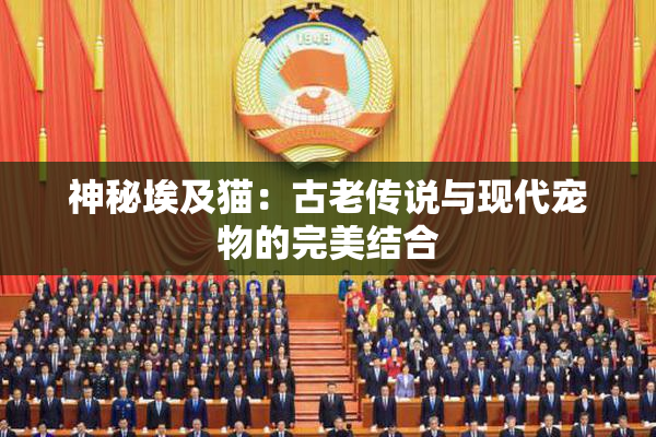 神秘埃及猫：古老传说与现代宠物的完美结合