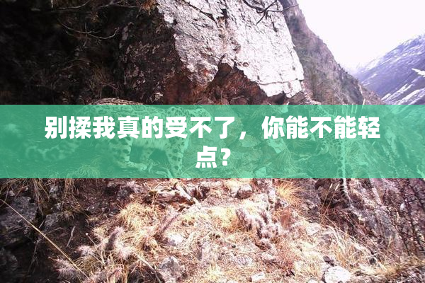 别揉我真的受不了，你能不能轻点？