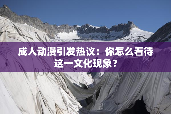 成人动漫引发热议：你怎么看待这一文化现象？