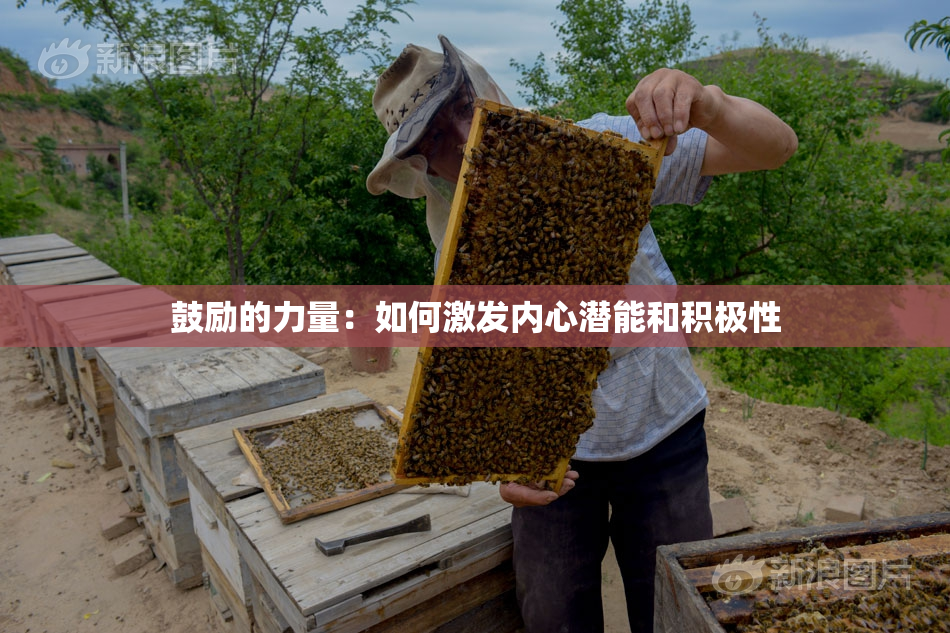 鼓励的力量：如何激发内心潜能和积极性
