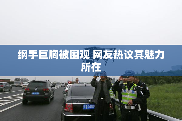 纲手巨胸被围观 网友热议其魅力所在