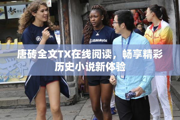 唐砖全文TX在线阅读，畅享精彩历史小说新体验