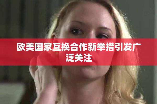 欧美国家互换合作新举措引发广泛关注
