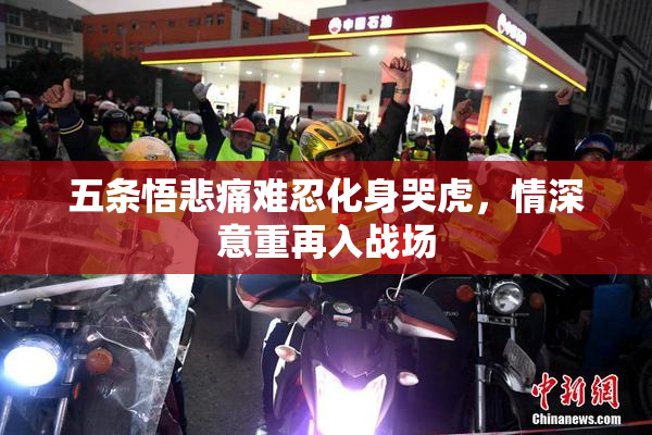 五条悟悲痛难忍化身哭虎，情深意重再入战场