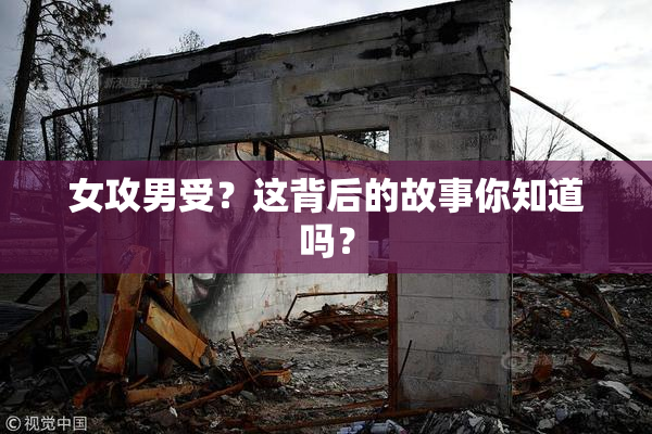 女攻男受？这背后的故事你知道吗？