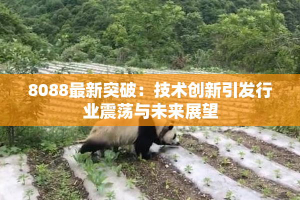 8088最新突破：技术创新引发行业震荡与未来展望