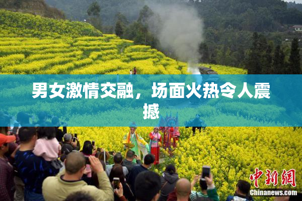 男女激情交融，场面火热令人震撼
