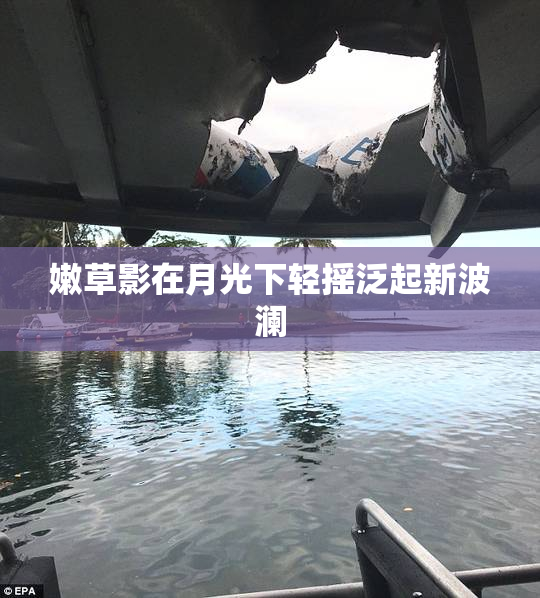 嫩草影在月光下轻摇泛起新波澜