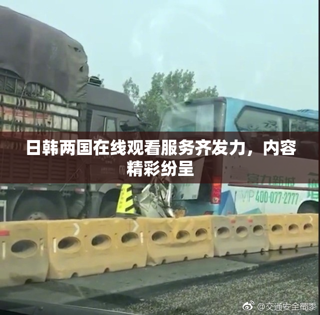 日韩两国在线观看服务齐发力，内容精彩纷呈