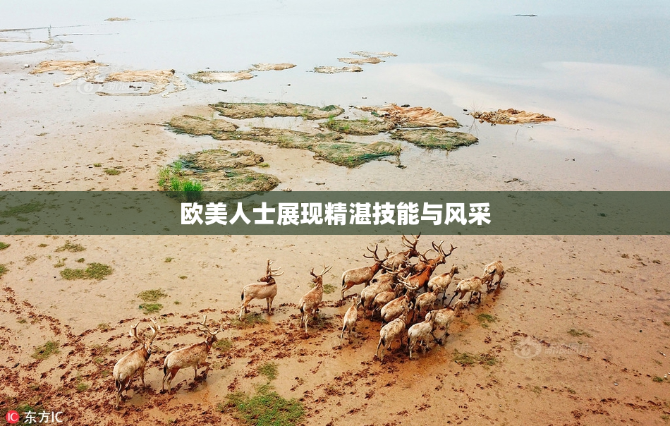 欧美人士展现精湛技能与风采