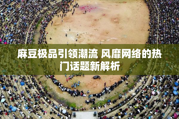麻豆极品引领潮流 风靡网络的热门话题新解析