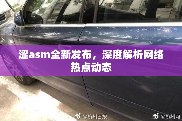 涩asm全新发布，深度解析网络热点动态