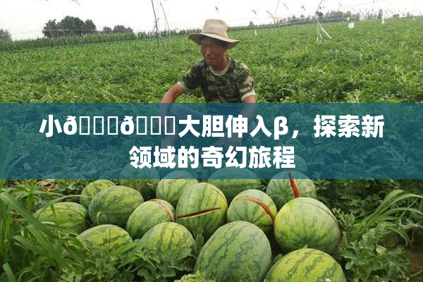 小🐔🐔大胆伸入β，探索新领域的奇幻旅程