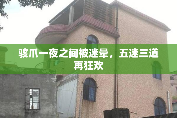 骇爪一夜之间被迷晕，五迷三道再狂欢