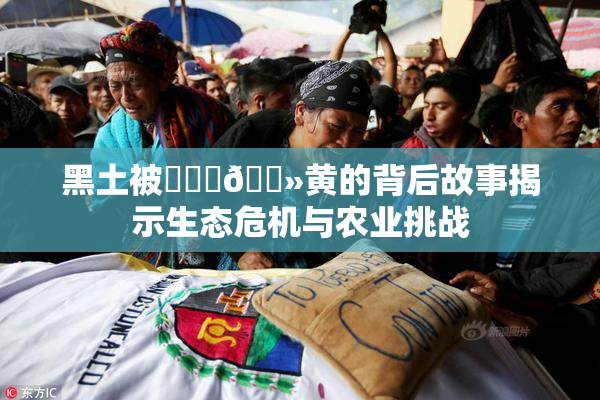 黑土被❌‌‌🐻黄的背后故事揭示生态危机与农业挑战