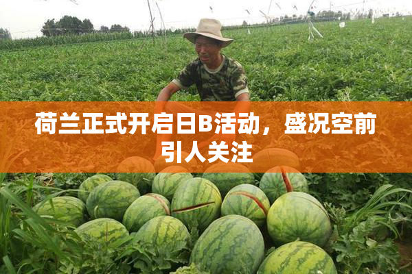 荷兰正式开启日B活动，盛况空前引人关注