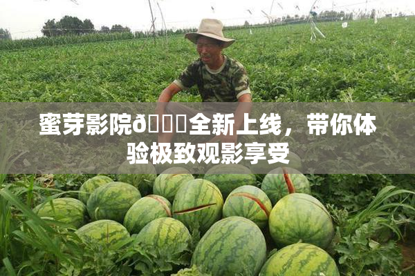 蜜芽影院🔞全新上线，带你体验极致观影享受