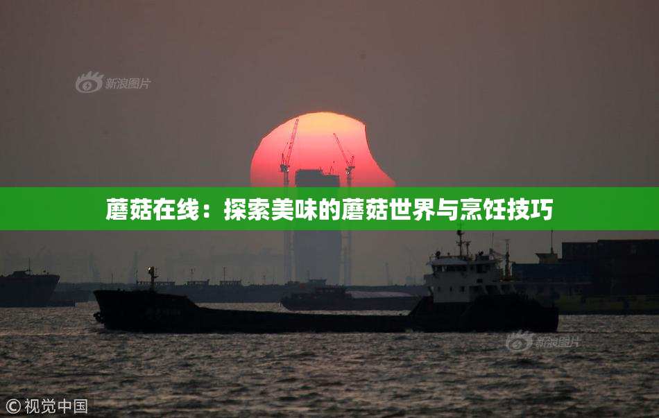 蘑菇在线：探索美味的蘑菇世界与烹饪技巧